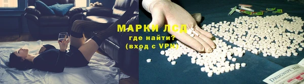 гашик Арсеньев