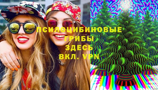 гашик Арсеньев